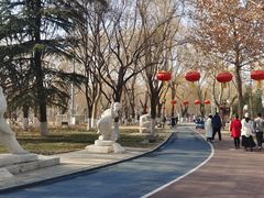 -裕华世纪公园