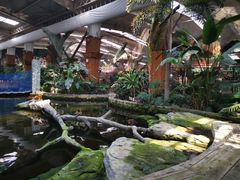 -南宫五洲植物乐园