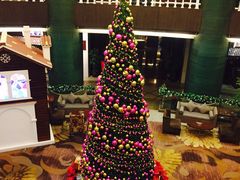 -成都凯宾斯基饭店