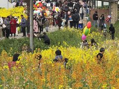 -三圣花乡旅游区