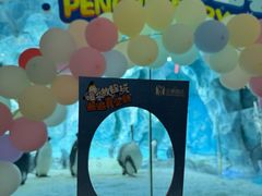 -帝企鹅自助餐厅•儿童岛•真企鹅(长隆企鹅酒店)