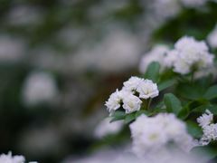 -府河摄影公园