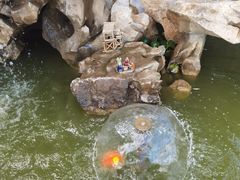 -呼吸森林·生态农庄农家乐私房菜