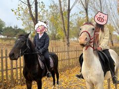 -丹世红酒庄·烧烤·团建·婚礼·水上运动