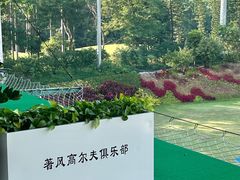 -棕榈泉国际高尔夫学院