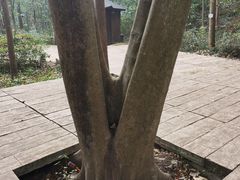 -黄公望隐居地