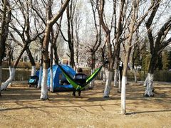 -长白岛森林公园
