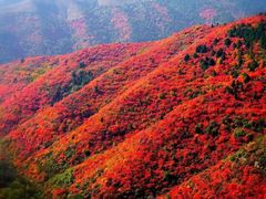 -妙峰山风景名胜区