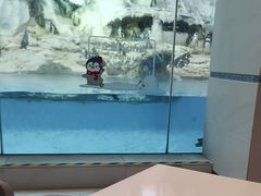 -帝企鹅自助餐厅•儿童岛•真企鹅(长隆企鹅酒店)