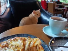 -咖法森林·咖啡  酒吧(天河店)