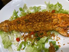 椒盐有糕赖尿虾-猪肉婆私房菜(容桂总店)