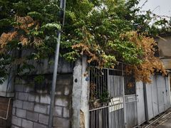 -溪岸路花鸟市场