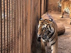 -昆明动物园