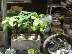 -双季花艺园艺市场(浦东店)