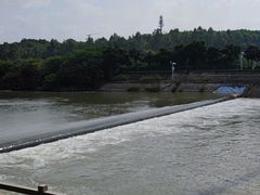 -广东花都湖国家湿地公园