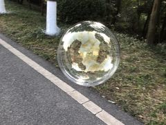 -富乐山