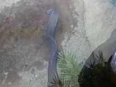 -鸿通城购物中心