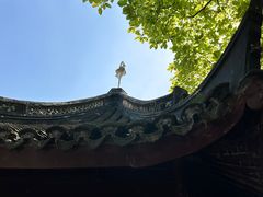 -上海醉白池公园