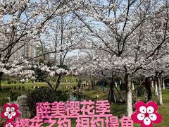 -堤角公园