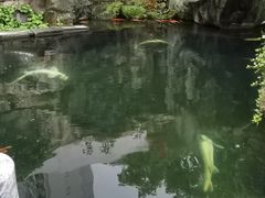 -千滋百味·醉江澜花园餐厅(街道口店)