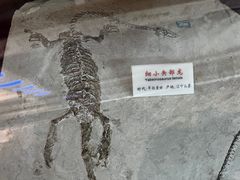 -福州科技馆