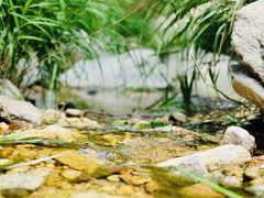 -黑龙潭风景区