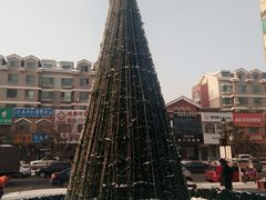 -高新活力汇Vitality