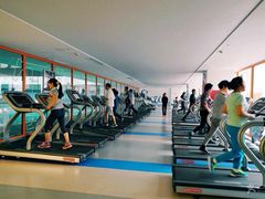 -上海浦东康桥绿地假日酒店