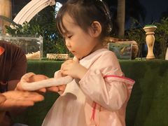 -清迈夜间动物园