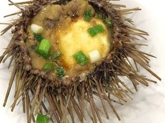 海胆蒸蛋-渔娘渔家丹东海鲜(东直门店)