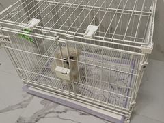 -翊宠yipet猫狗购宠庄园犬舍•猫舍