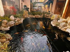 -鲤院·新中式美学·庭院餐厅(夫子庙店)
