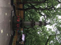 普陀山法雨寺-普陀山风景名胜区-法雨禅寺