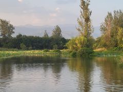-西昌邛海湿地