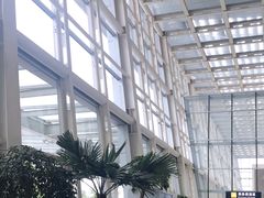 -威海大水泊国际机场