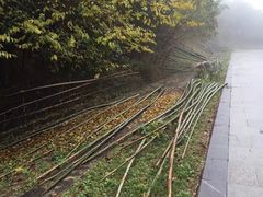 -南山风景名胜区