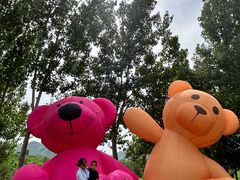 -西部长青自然儿童乐园