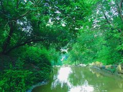 -北京西山国家森林公园