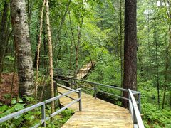 -五营红松林海景区