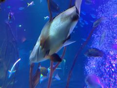 -沈阳海洋探索中心