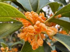 -苏州河梦清园环保主题公园