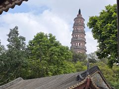 -顺峰山公园