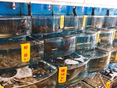 -渔中舟海鲜大排档(普陀沈家门店)