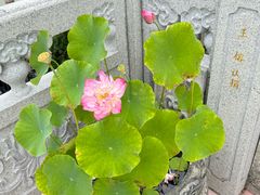 -仓山金山寺
