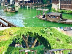 -乌镇西栅景区