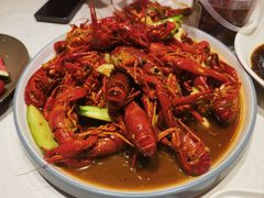 -杨氏青龙虾·羊蝎子(托乐嘉店)