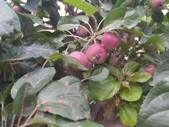 -雅夫酒店(西安市图书馆地铁站店)