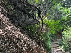 -杭州半山国家森林公园