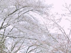 -杭州少年儿童公园