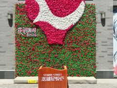 -龙湖星悦荟(颐和店)